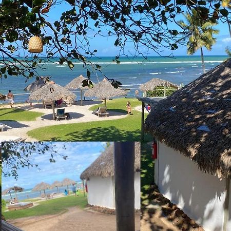 Pousada Farol Das Tartarugas ปรายาโดฟอร์ชิ ภายนอก รูปภาพ